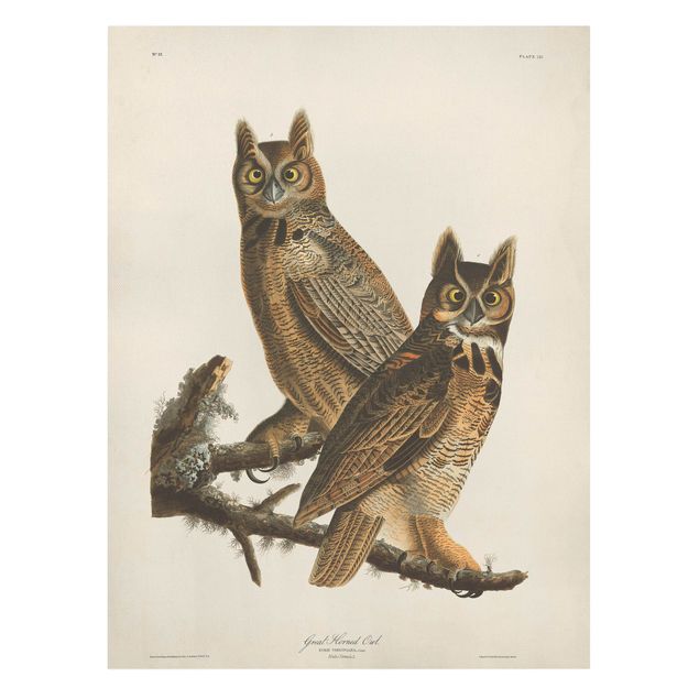 Tavlor retro Vintage Board Two Large Owls
