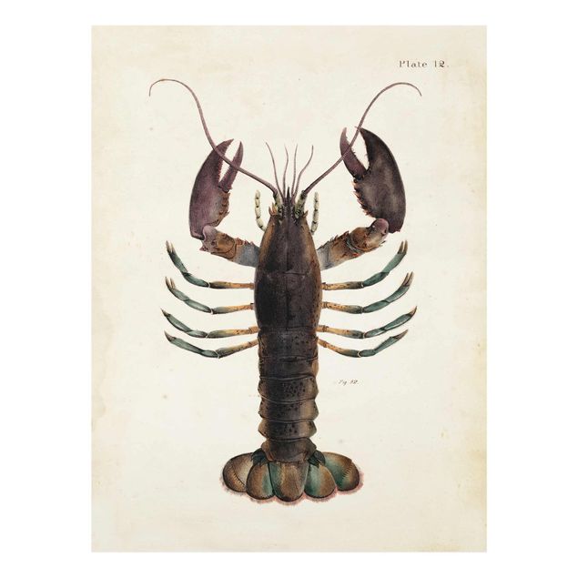 Tavlor brun Vintage Illustration Lobster