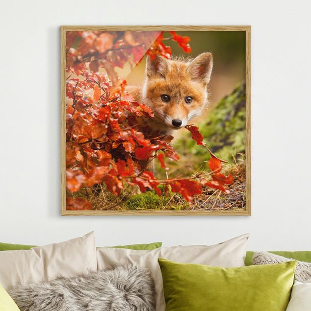 Kök dekoration Fox In Autumn