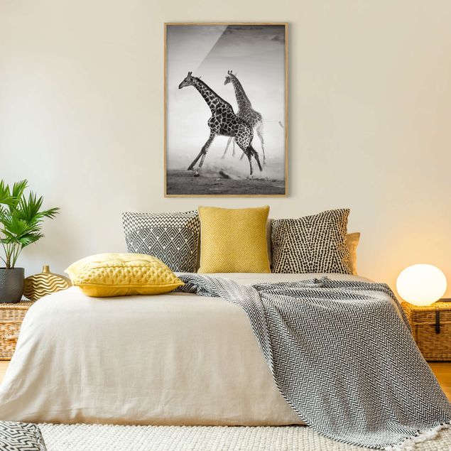 Tavlor med ram svart och vitt Giraffe Hunt