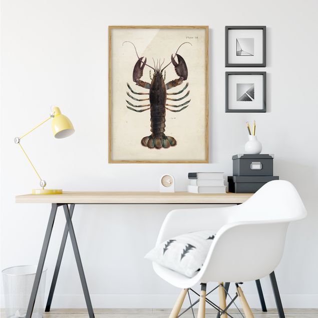 Tavlor med ram vintage Vintage Illustration Lobster