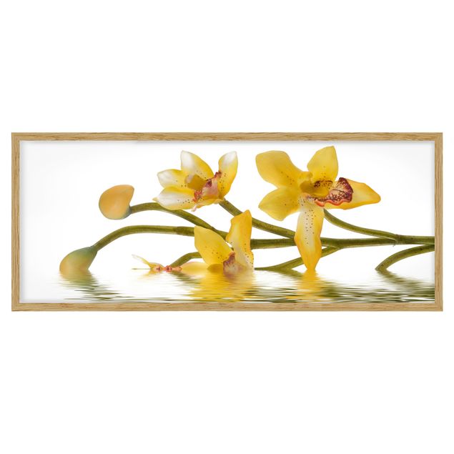 Tavlor blommor Saffron Orchid Waters