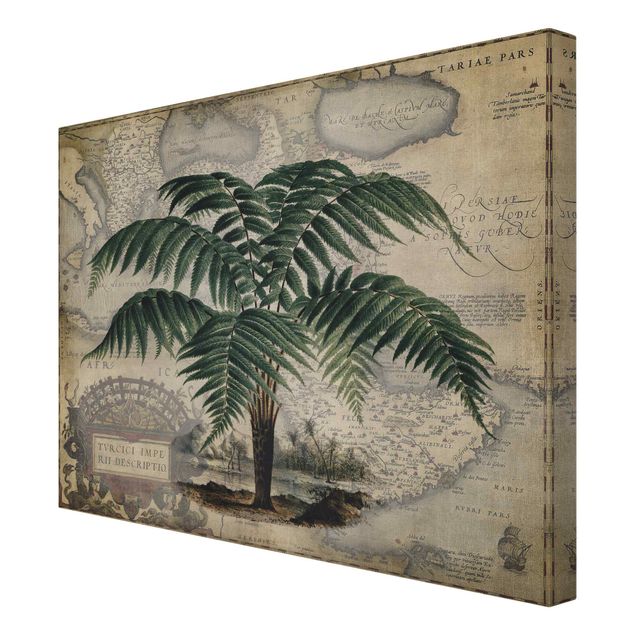 Tavlor grön Vintage Collage - Palm And World Map