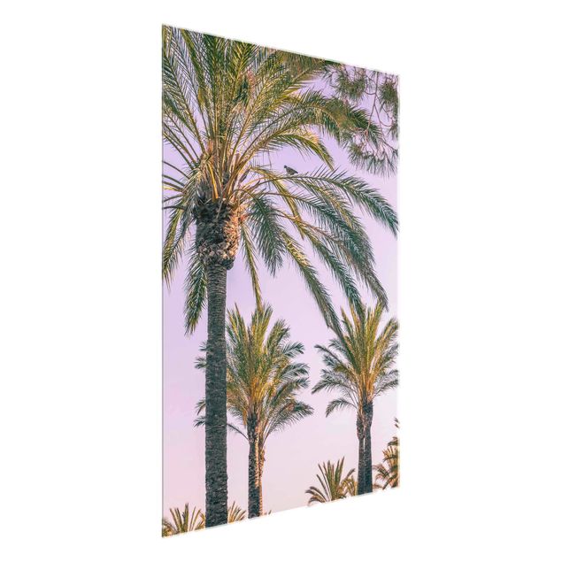 Glastavlor blommor  Palm Trees At Sunset