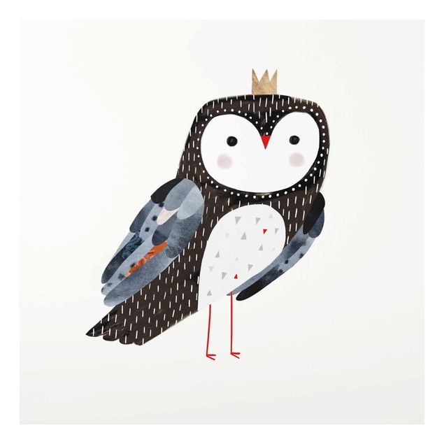 Tavlor Crowned Owl Dark