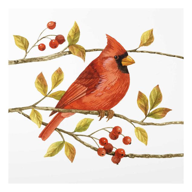 Tavlor Birds And Berries - Northern Cardinal