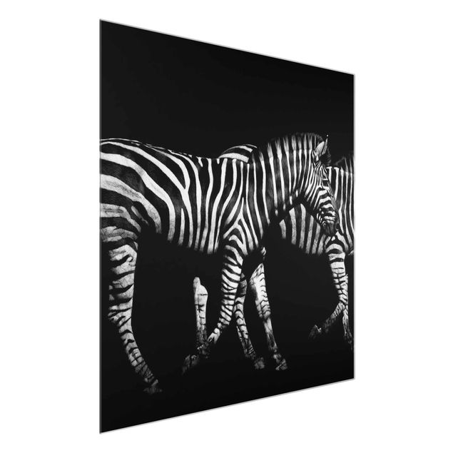 Glastavlor djur Zebra In The Dark