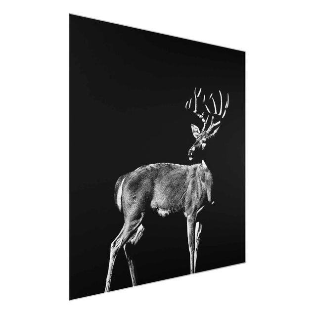 Glastavlor djur Deer In The Dark