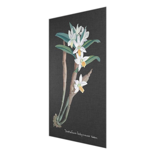 Tavlor blommor  White Orchid On Linen I