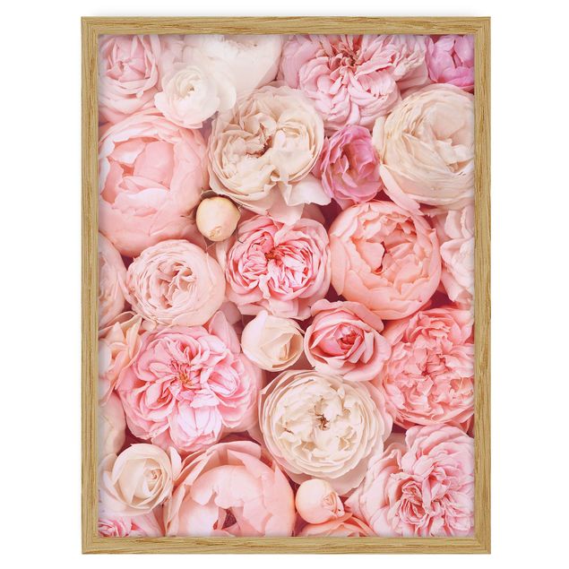 Tavlor blommor  Roses Rosé Coral Shabby