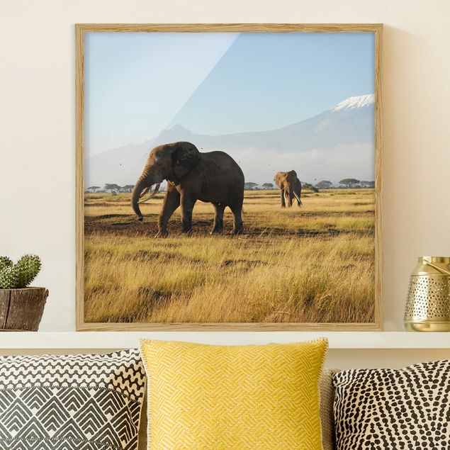 Kök dekoration Elephants In Front Of The Kilimanjaro In Kenya