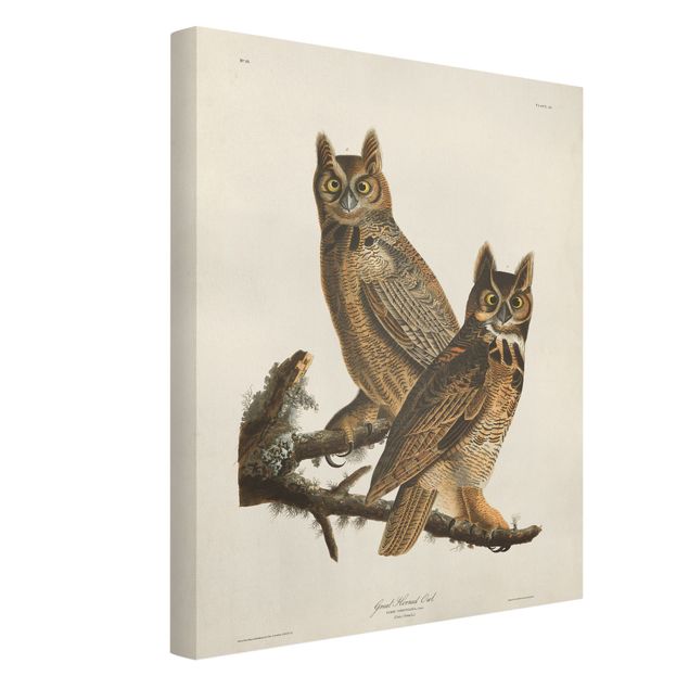 Canvastavlor djur Vintage Board Two Large Owls
