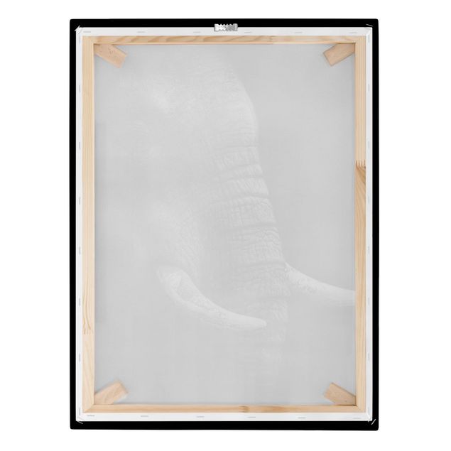 Canvastavlor djur Dark Elephant Portrait