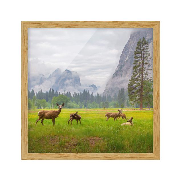 Tavlor med ram landskap Deer In The Mountains