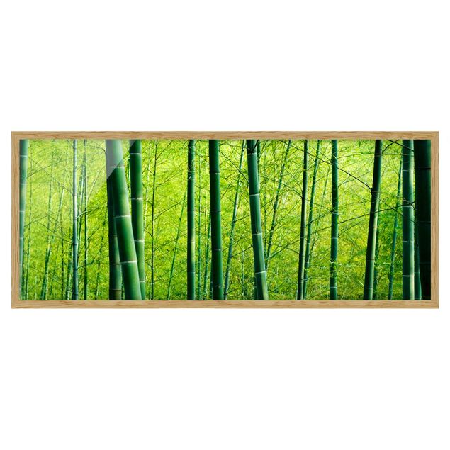 Tavlor landskap Bamboo Forest