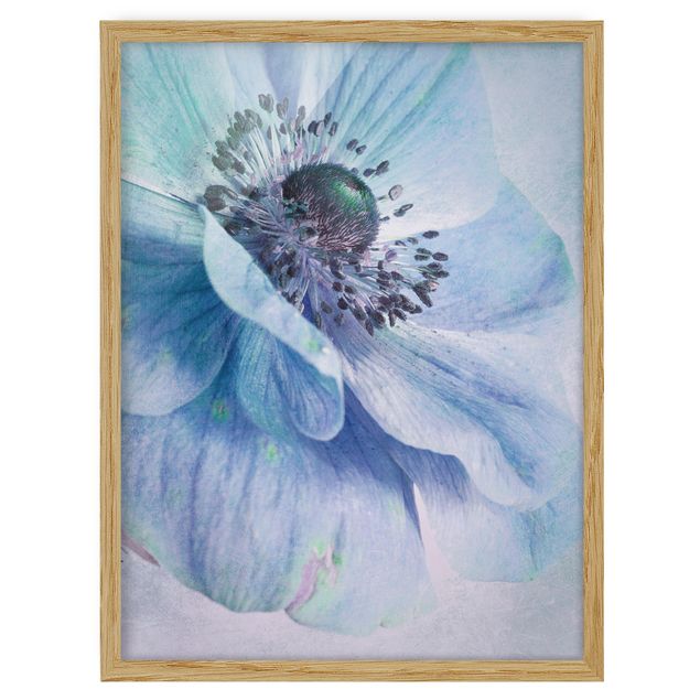 Tavlor blommor  Flower In Turquoise