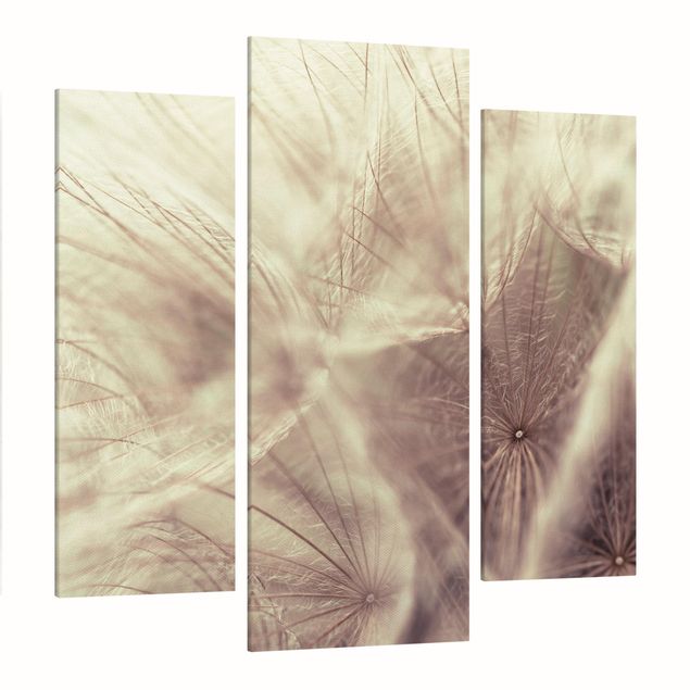 Canvastavlor blommor  Detailed Dandelion Macro Shot With Vintage Blur Effect