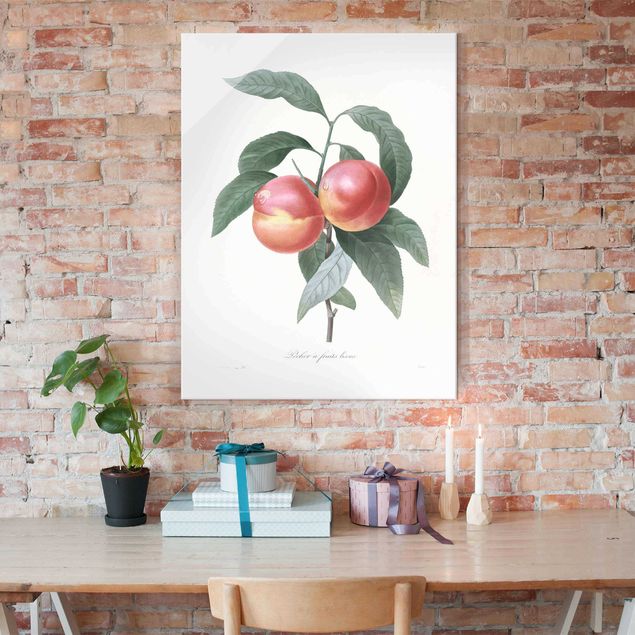 Tavlor frukter Botany Vintage Illustration Peach