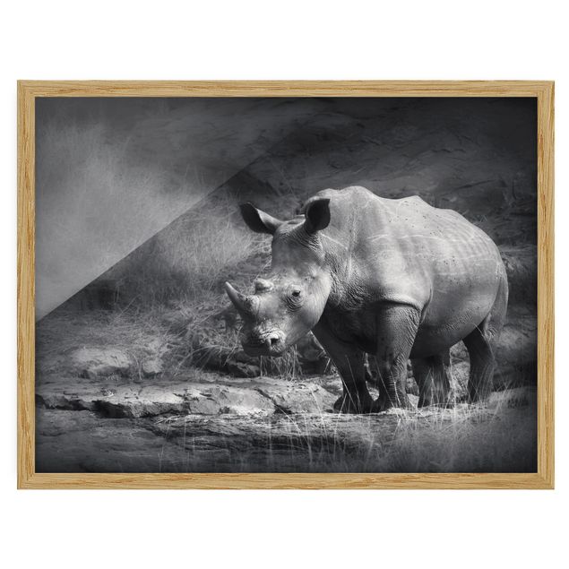 Tavlor med ram djur Lonesome Rhinoceros