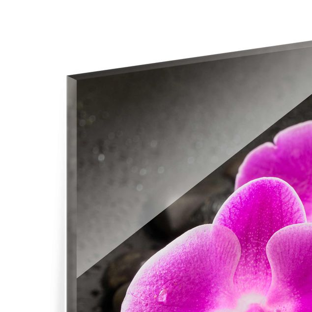 Tavlor Uwe Merkel Pink Orchid Flower On Stones With Drops