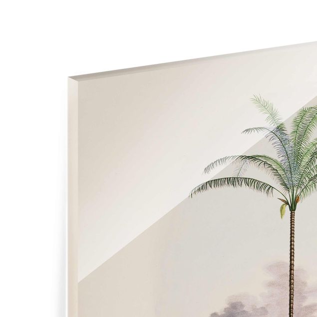 Tavlor Andrea Haase Zebra Front Of Palm Trees Illustration