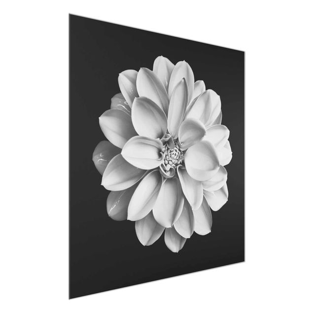 Tavlor blommor Dahlia Black And White