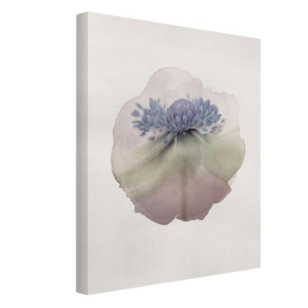 Tavlor blommor  WaterColours - Anemone In Violet