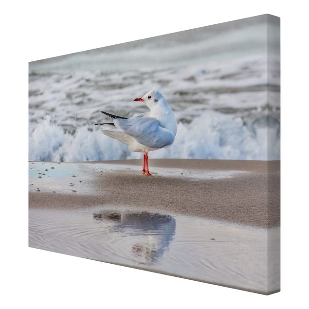 Canvastavlor konstutskrifter Seagull On The Beach In Front Of The Sea
