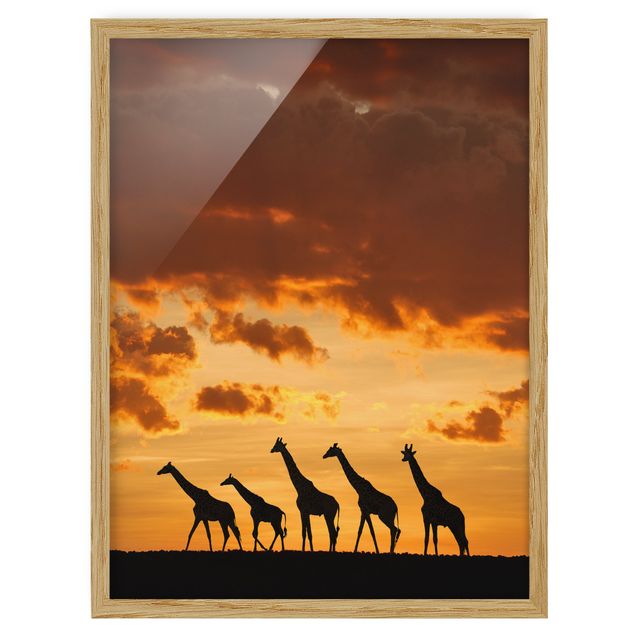 Tavlor Afrika Five Giraffes
