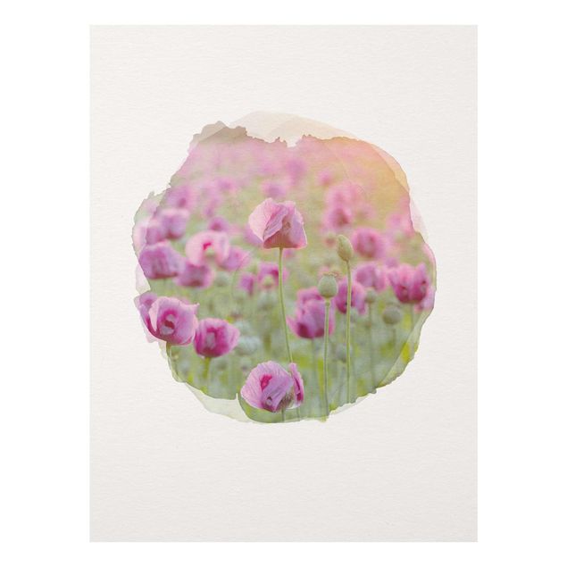 Glastavlor blommor  WaterColours - Violet Poppy Flowers Meadow In Spring