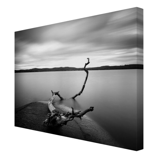 Tavlor natur Sunset In Black And White By The Lake