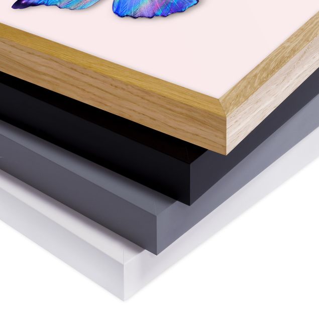 Tavlor med ram djur Holographic Butterfly
