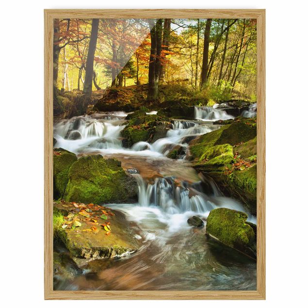 Tavlor med ram landskap Waterfall Autumnal Forest