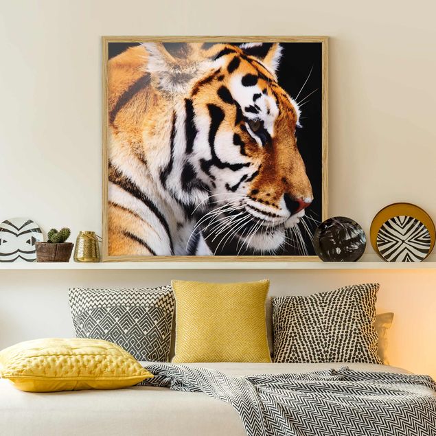 Tavlor tigrar Tiger Beauty