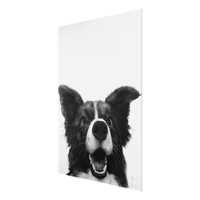 Tavlor konstutskrifter Illustration Dog Border Collie Black And White Painting