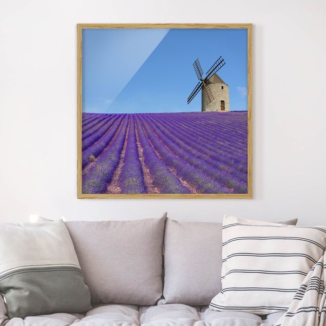 Tavlor landskap Lavender Scent In The Provence