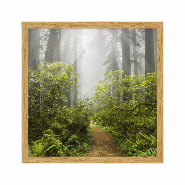 Tavlor med ram landskap Misty Forest Path