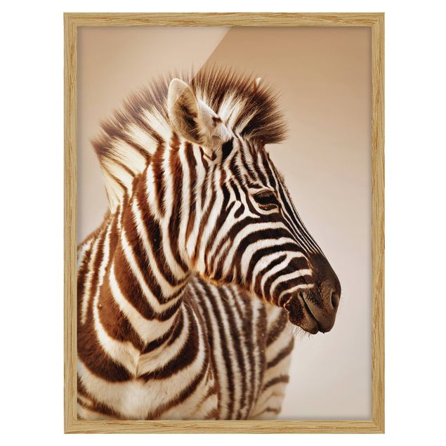 Tavlor Afrika Zebra Baby Portrait