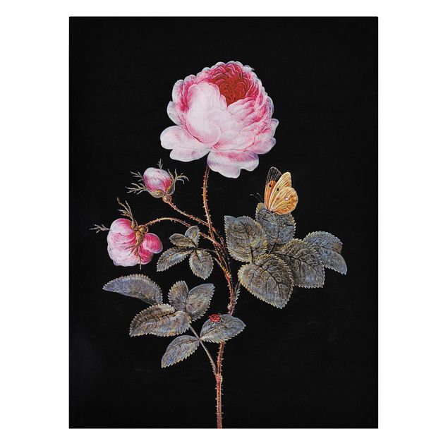 Canvastavlor schemtterlings Barbara Regina Dietzsch - The Hundred-Petalled Rose