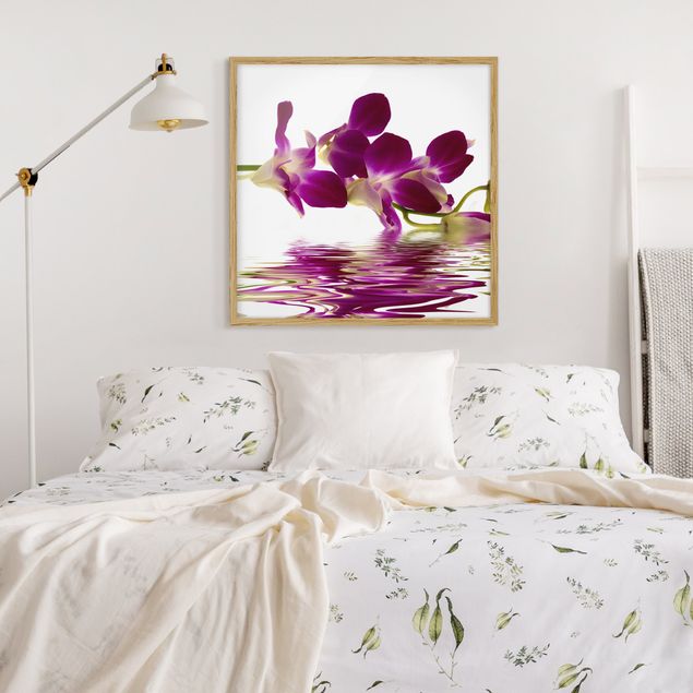 Tavlor med ram blommor  Pink Orchid Waters