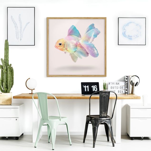 Tavlor med ram konstutskrifter Fish In Pastel