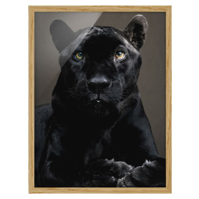 Tavlor djur Black Puma