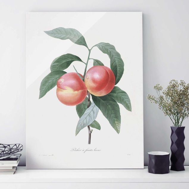 Kök dekoration Botany Vintage Illustration Peach