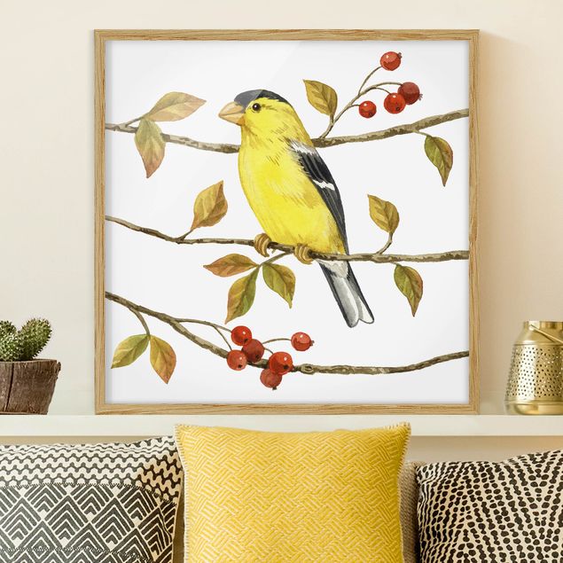 Kök dekoration Birds And Berries - American Goldfinch