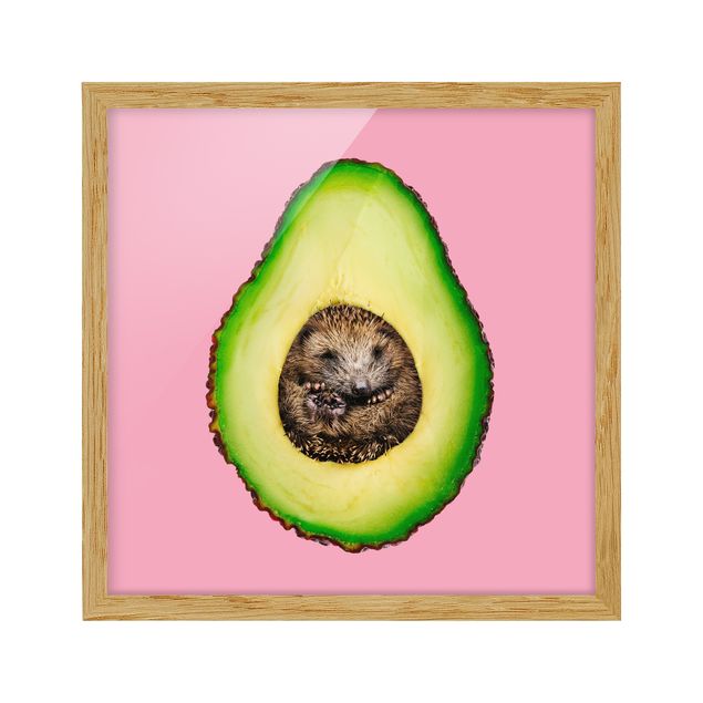 Tavlor med ram djur Avocado With Hedgehog