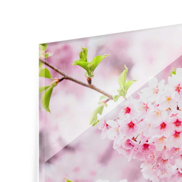 Tavlor Japanese Cherry Blossoms