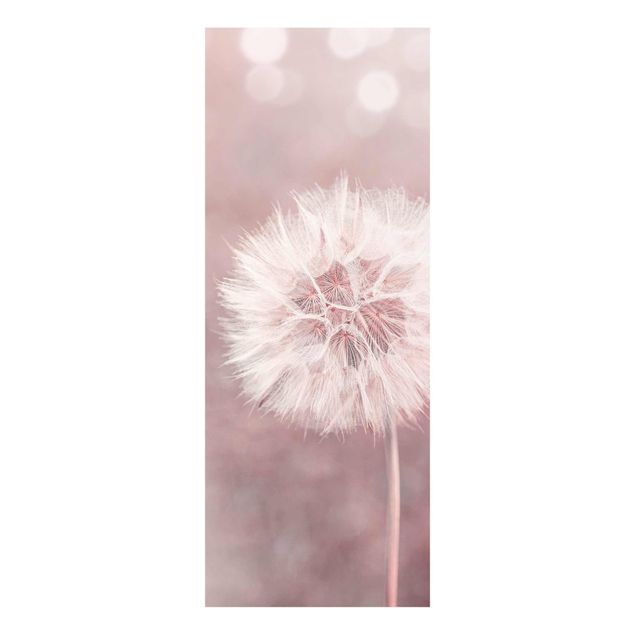 Tavlor blommor  Dandelion Bokeh Light Pink