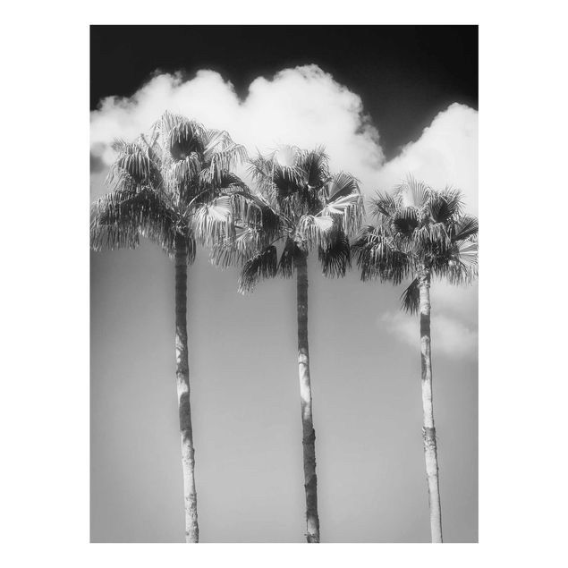 Tavlor blommor Palm Trees Against The Sky Black And White