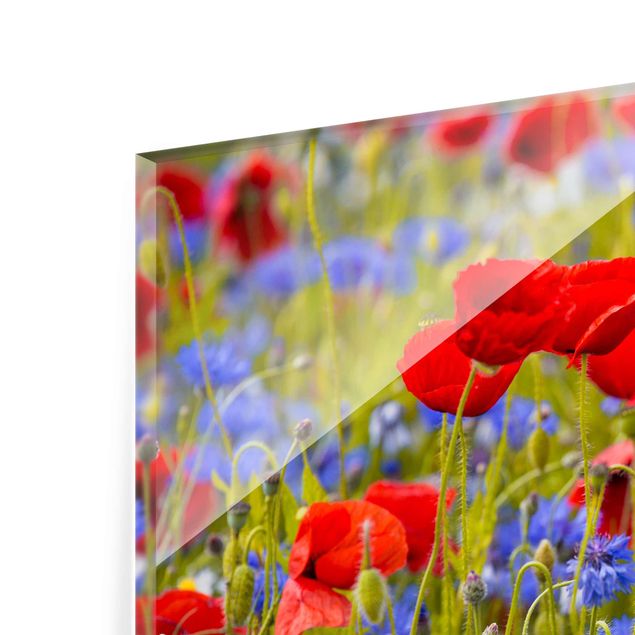 Tavlor röd Summer Meadow With Poppies And Cornflowers