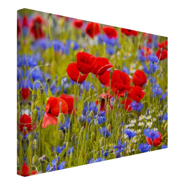 Canvastavlor blommor  Summer Meadow With Poppies And Cornflowers